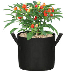 Collection image for: Moestuin