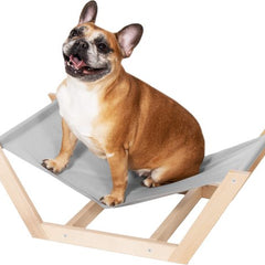 Collection image for: Honden