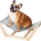 Honden