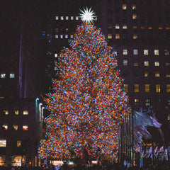 Collection image for: Multicolor kerstboomverlichting