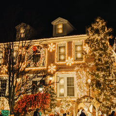 Collection image for: Kerstboomverlichting Buiten