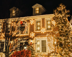 Collection image for: Kerstboomverlichting Buiten