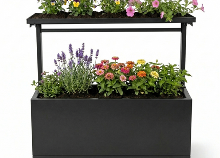 Kweekbak - Plantenbak - Moestuin - Irrigatiesysteem - Balkon - Verstelbaar - Planten - Antraciet