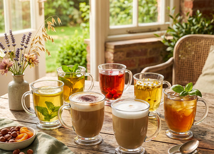 Koffie- en theeglazen Set van 6 - Handvat - 400 ML
