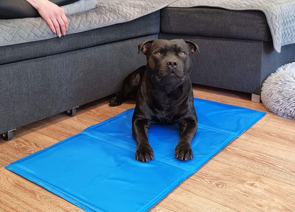 Koelmat Hond | Actieve Verkoelende Gel | 1 Stuk | 65 x 50 cm | Blauw