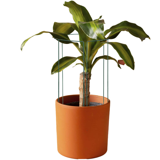 Plantensteun - Metaal - Bloemen - Groen - Set Van 3 - 100 Cm