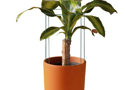 Plantensteun - Metaal - Bloemen - Groen - Set Van 3 - 100 Cm