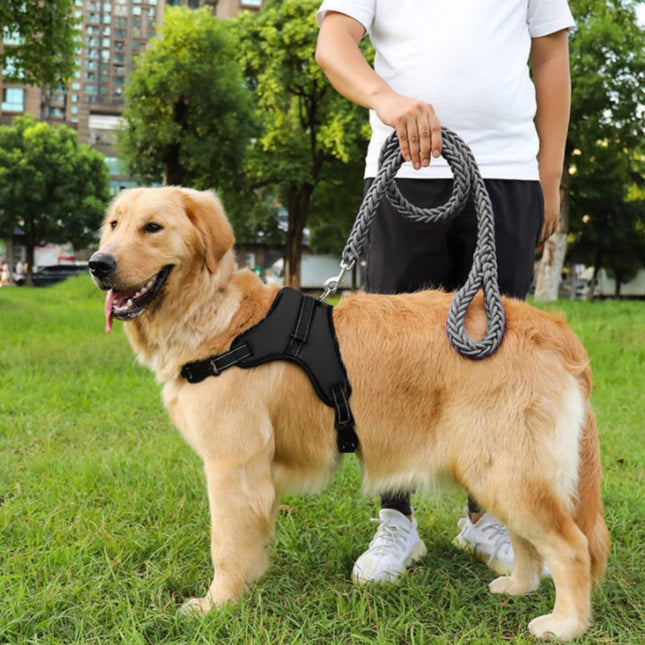 Hondentuigje - Hondenharnas - Verstelbaar - Zwart - 10 - 18 KG - S