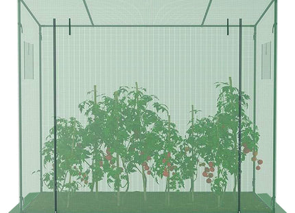 Kweekkas - Tuinkas  -Folie - 200x80x170 CM