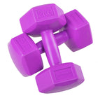 Dumbbell Set - 2 KG - Paars - Oefengewichten
