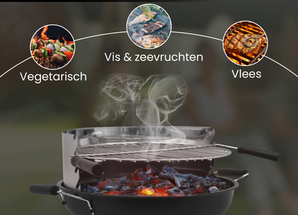 Houtskool barbecue - Zuil barbecue - BBQ - Asopvangbak - Schuifregelaar - RVS -- Zilver