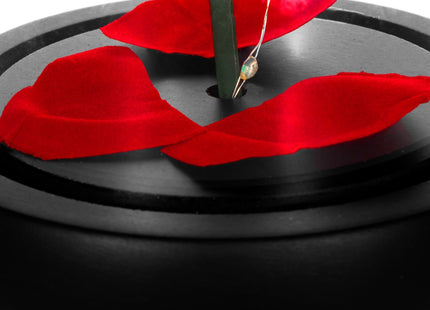 Roos | Valentijn | Rozen | LED | 22 cm | Rood/Groen/Zwart | Warm wit