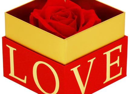 Eeuwige Roos - Geschenkdoos - Geschenkbloem - Valentijnsdag - Liefde - Rood