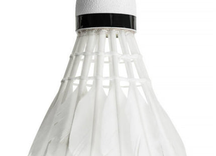 Badminton Shuttles - 6 Stuks - Badminton - Professioneel - Kunststof - Wit