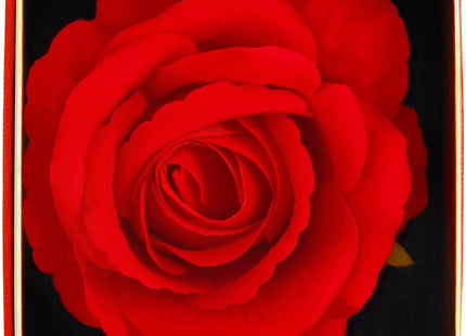Eeuwige Roos - Geschenkdoos - Geschenkbloem - Valentijnsdag - Liefde - Rood