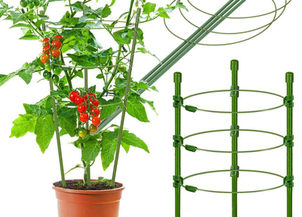 Plantensteun - Ringsteun - Bloemen - Groen - 60 Cm