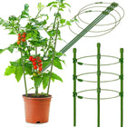 Plantensteun - Ringsteun - Bloemen - Groen - 60 Cm