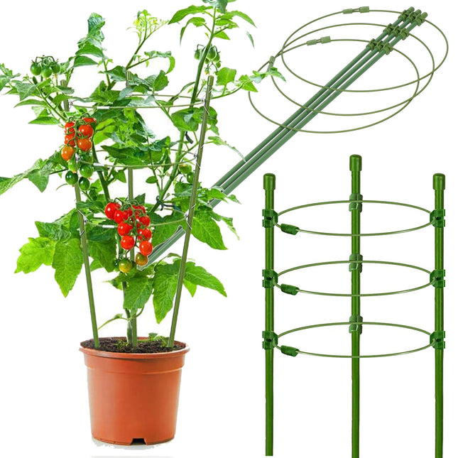 Plantensteun - Ringsteun - Bloemen - Groen - 60 Cm