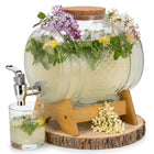 Drankdispenser - Waterdispenser - Karaf - 3 liter - Standaard