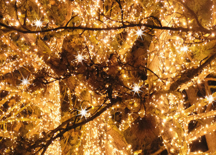 Kerstboomverlichting | Met 300 LED Lampjes | 18,5 M | Warm wit + flits koud wit
