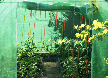 Kweekkas - Tuinkas - Broeikas - Plantenkas -Folie - 600x300x200 CM