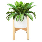 Plantenstandaard | Plantenhouder | Plantenkruk | Hout | 1 Stuk | 35 cm | Neutraal