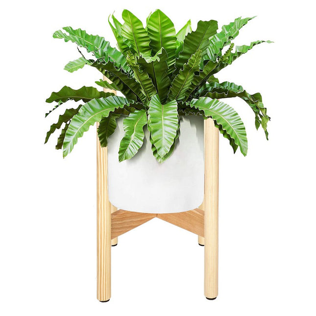 Plantenstandaard | Plantenhouder | Plantenkruk | Hout | 1 Stuk | 35 cm | Neutraal