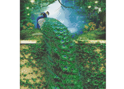 Diamond Painting - Volwassenen - Pauw - 40 x 30 cm