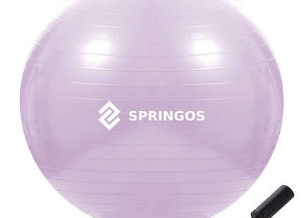 Fitness Bal | Paars | Inclusief Pomp | 65 cm