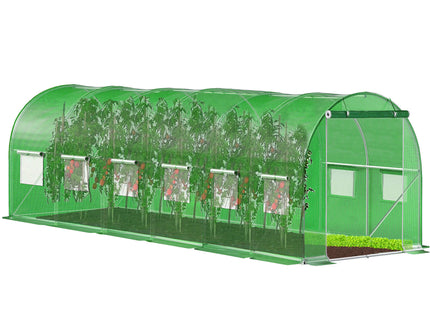Kweekkas - Tuinkas - Broeikas - Plantenkas -Folie - 600x300x200 CM