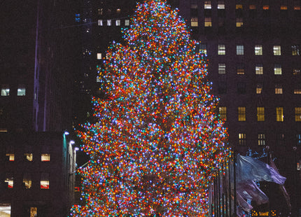 Kerstboomverlichting | Met 500 LED Lampjes | 30 M | Multicolor