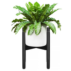 Plantenstandaard | Plantenhouder | Plantenkruk | Hout | 1 Stuk | 30.5 cm | Zwart