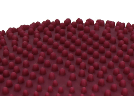 Balanskussen | Inclusief Pomp | Paars | 34 cm