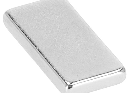 Magneten | Koelkastmagneten | Neodymium Magneten | Rechthoek | 20 x 10 x 2.5 mm | Zilver