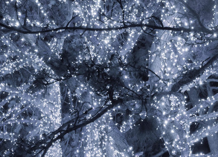 Kerstverlichting | 50 m | 1000 LED | Koel Wit