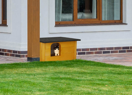 Kattenhuis - Voor Buiten - Geïsoleerd - 56 x 46 x 30 cm