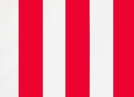 Ligbed | Strandstoel | Ligstoel | Verstelbaar | Arm Leuning | Beukenhout | Geïmpregneerd | Handgemaakt | Rood Wit
