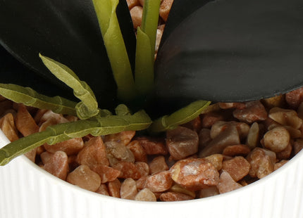Kunst Orchidee - Kunstplanten -Inclusief Pot - Wit - 33.5 cm