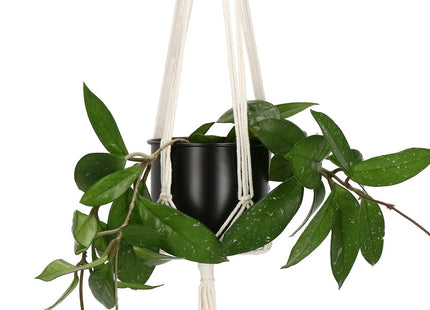 Plantenhanger | Plantenhanger Macrame | 100 cm | Wit