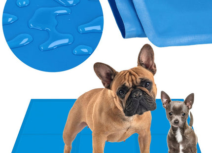 Koelmat Hond | Actieve Verkoelende Gel | 1 Stuk | 110 x 70 cm | Blauw