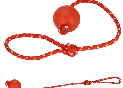 Honden Speelgoed - Duurzaam - Hondenspeeltje - Rood