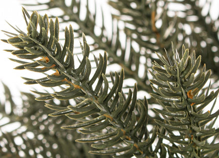 Kunstkerstboom | Natural Spruce | 220 cm | Zonder Verlichting