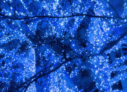 Kerstverlichting | 15 m | 300 LED | Blauw