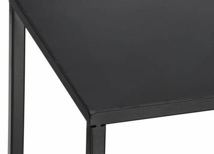 Plantenzuil | Plantentafel | Planten Etagère | Metaal Zwart | 100 cm