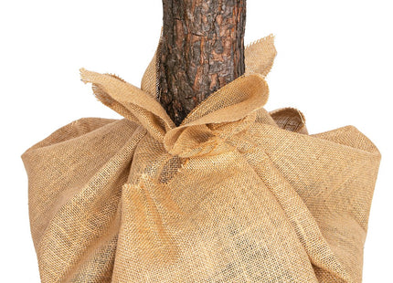 Kunstkerstboom | Natural Spruce | 220 cm | Zonder Verlichting