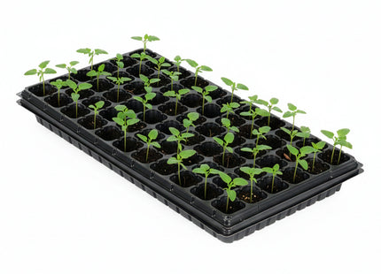 Moestuinbakken - 2 stuks -  Zaailingen Tray - 66 Cellen Kweker voor Groenten en Kruiden - Geschikt voor beplanting