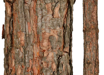 Kunstkerstboom | Himalayan Pine | 190 cm | Zonder Verlichting