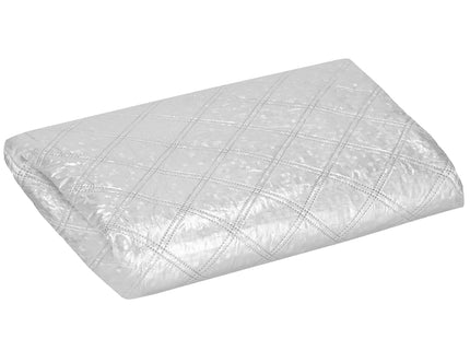 Anti -Vriesmat - Vooruit - Dubbelzijdig - Magnetisch - Polyester