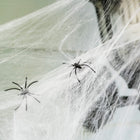 Halloween Decoratie - Spinnenweb - 1.9 M
