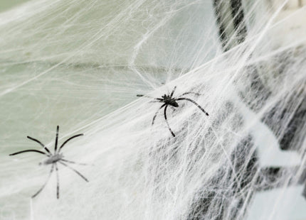 Halloween Decoratie - Spinnenweb - 1.9 M